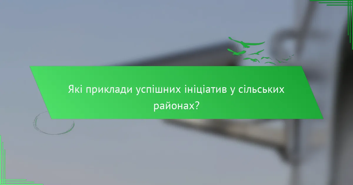 Які приклади успішних ініціатив у сільських районах?