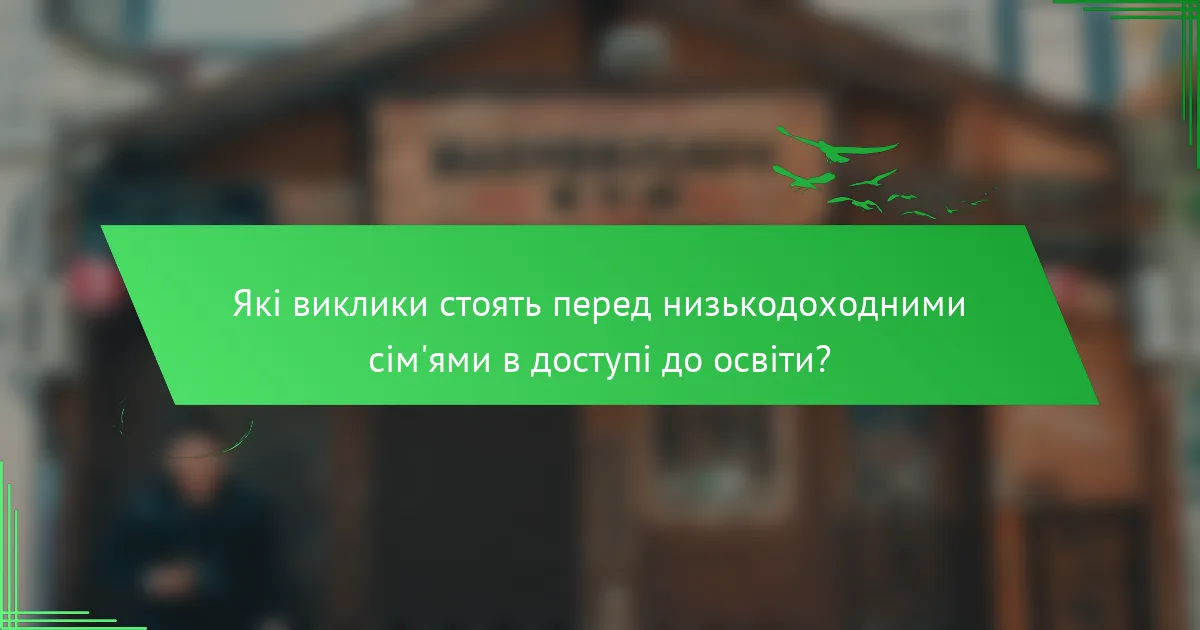 Які виклики стоять перед низькодоходними сім'ями в доступі до освіти?